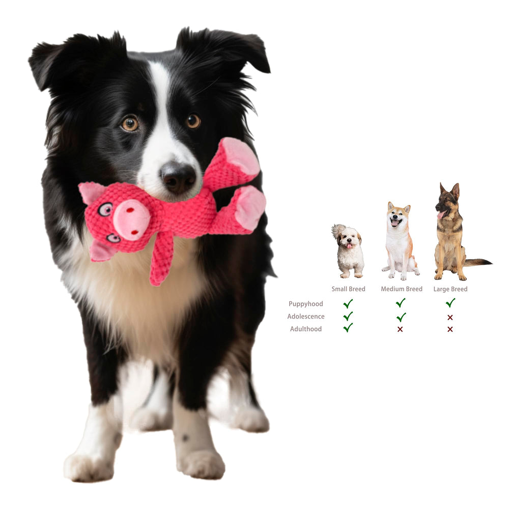 Jalousie engaging playtime dog toys encourage healthy chewing habits