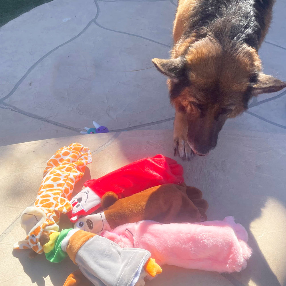Jalousie five-pack dog toys for varied play sessions
