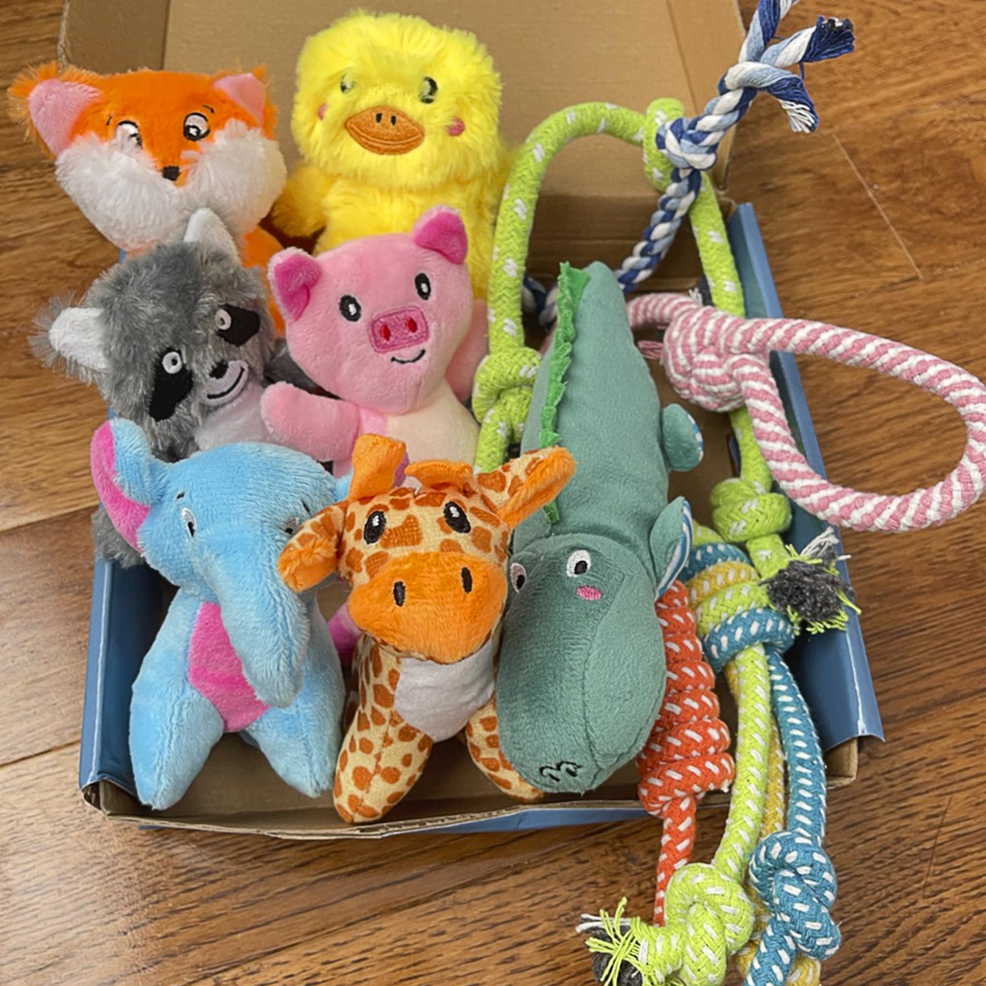 Jalousie medium-breed plush toys offering durable soft chewing and engagement.