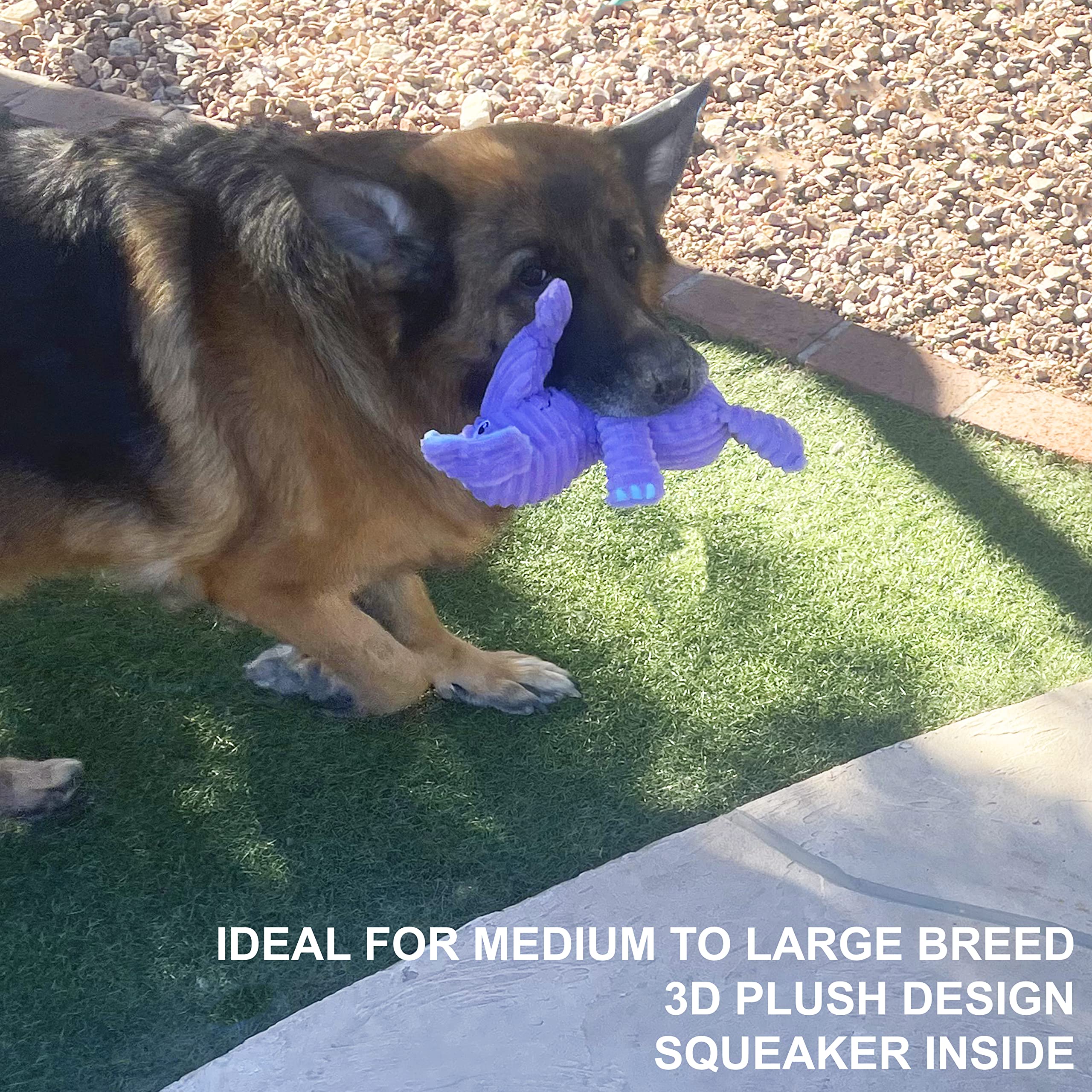 Jalousie medium to large breed toy supports powerful jaws safely.