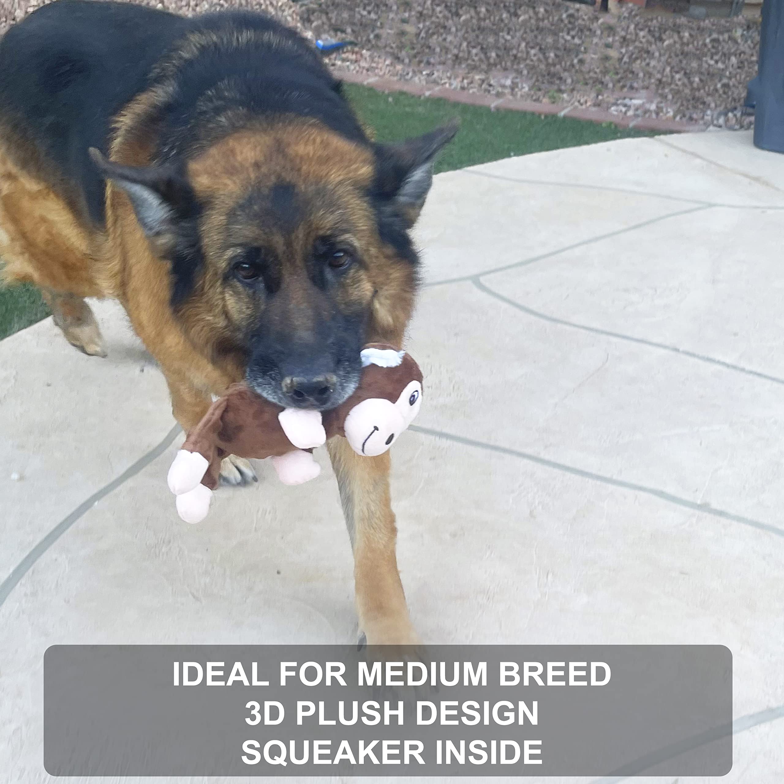 Jalousie multipack durable toys showcase variety for longer chewing sessions.