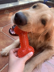 Jalousie non-toxic TPR material ensures safe play for small to medium dogs