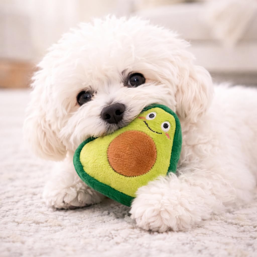 Jalousie not for aggressive chewers—supervised play recommended.