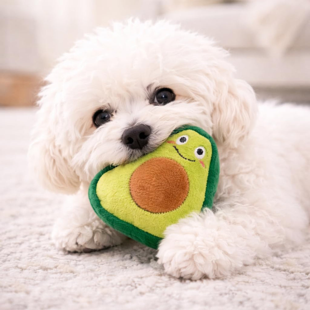 Jalousie not for aggressive chewers—supervised play recommended.