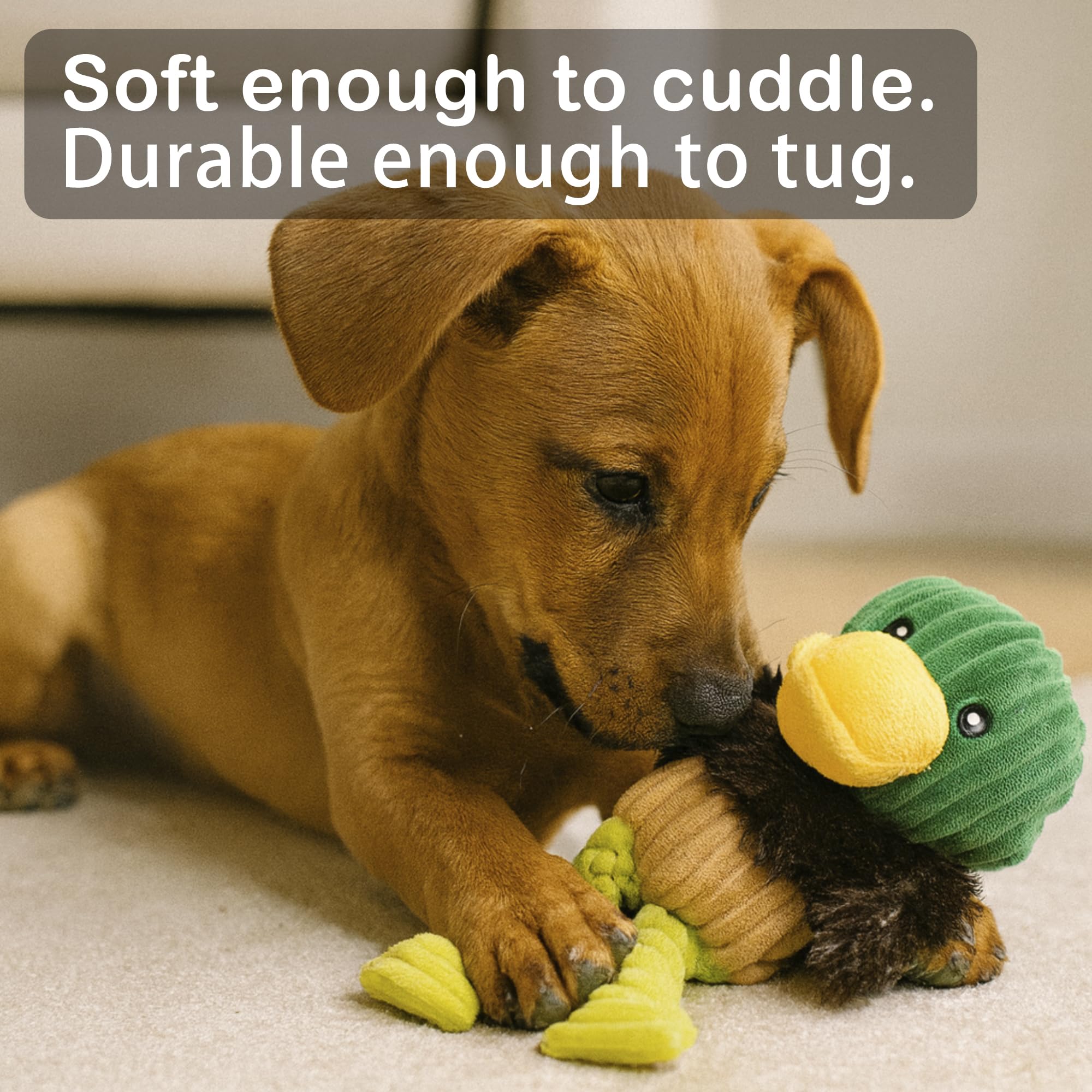 Jalousie plush toys colorful variety offers appealing visual stimulation