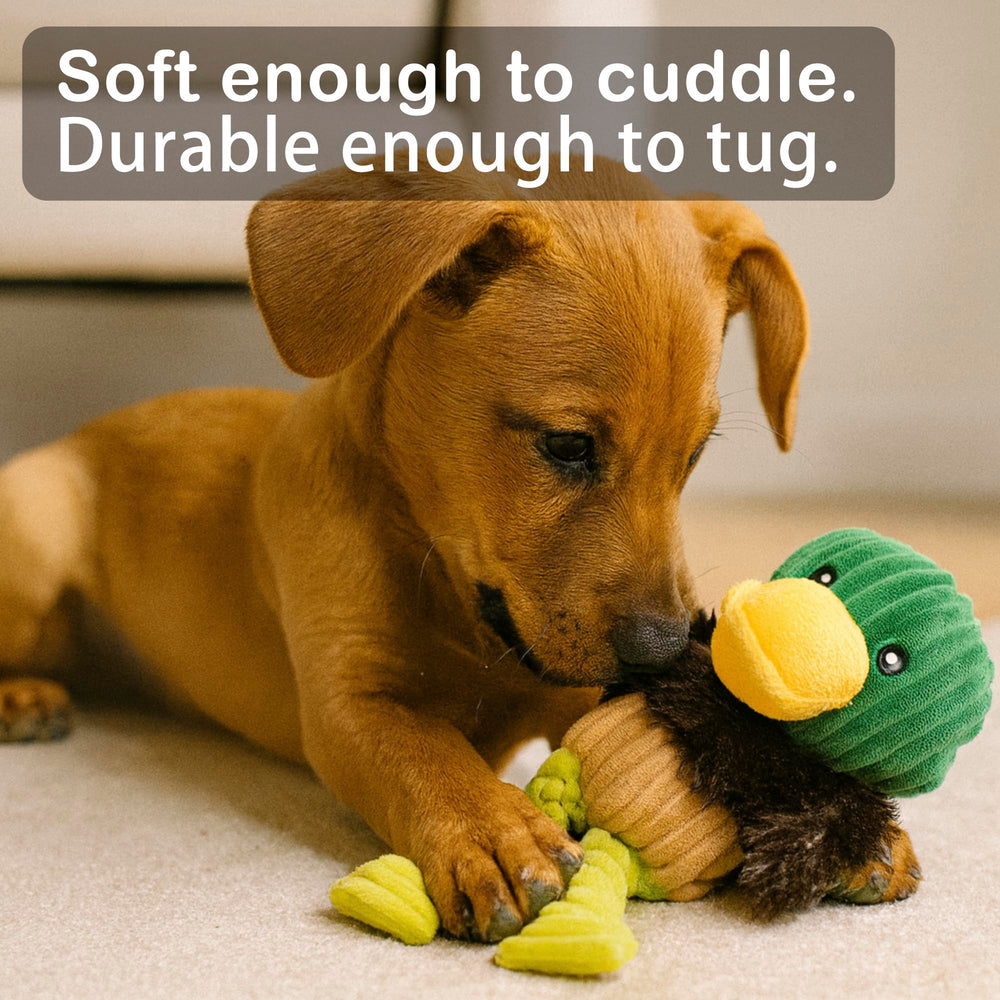 Jalousie plush toys colorful variety offers appealing visual stimulation