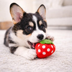Jalousie premium sewn dog toys with no glue for durable play.