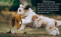 Jalousie puppy toy collection for small and medium dogs with bright colors