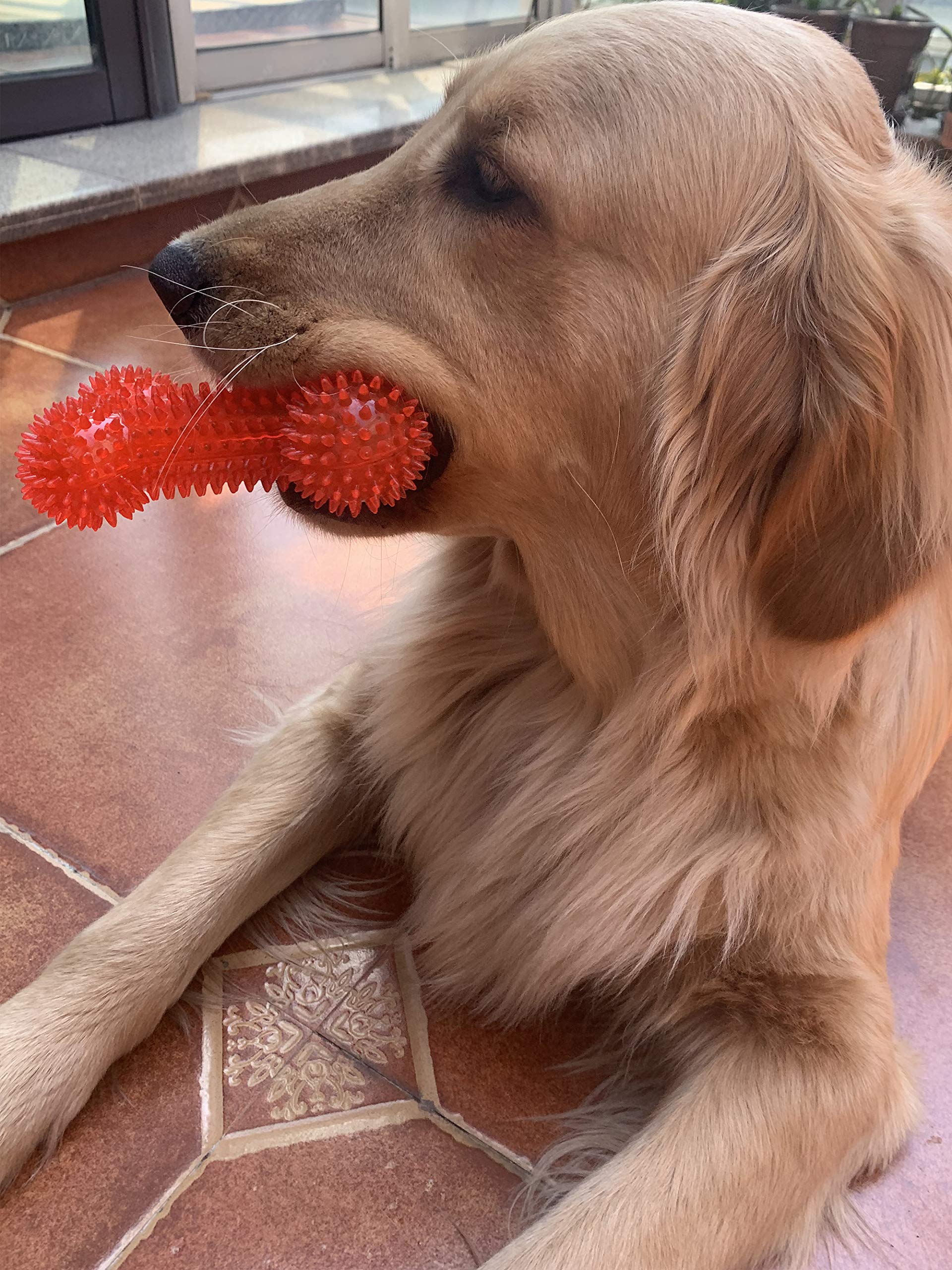 Jalousie training toy helps teach commands like drop it and bring it