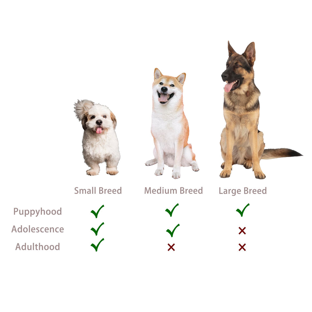 Jalousie squeaker plush toy details emphasize lively sounds for interactive fetch.