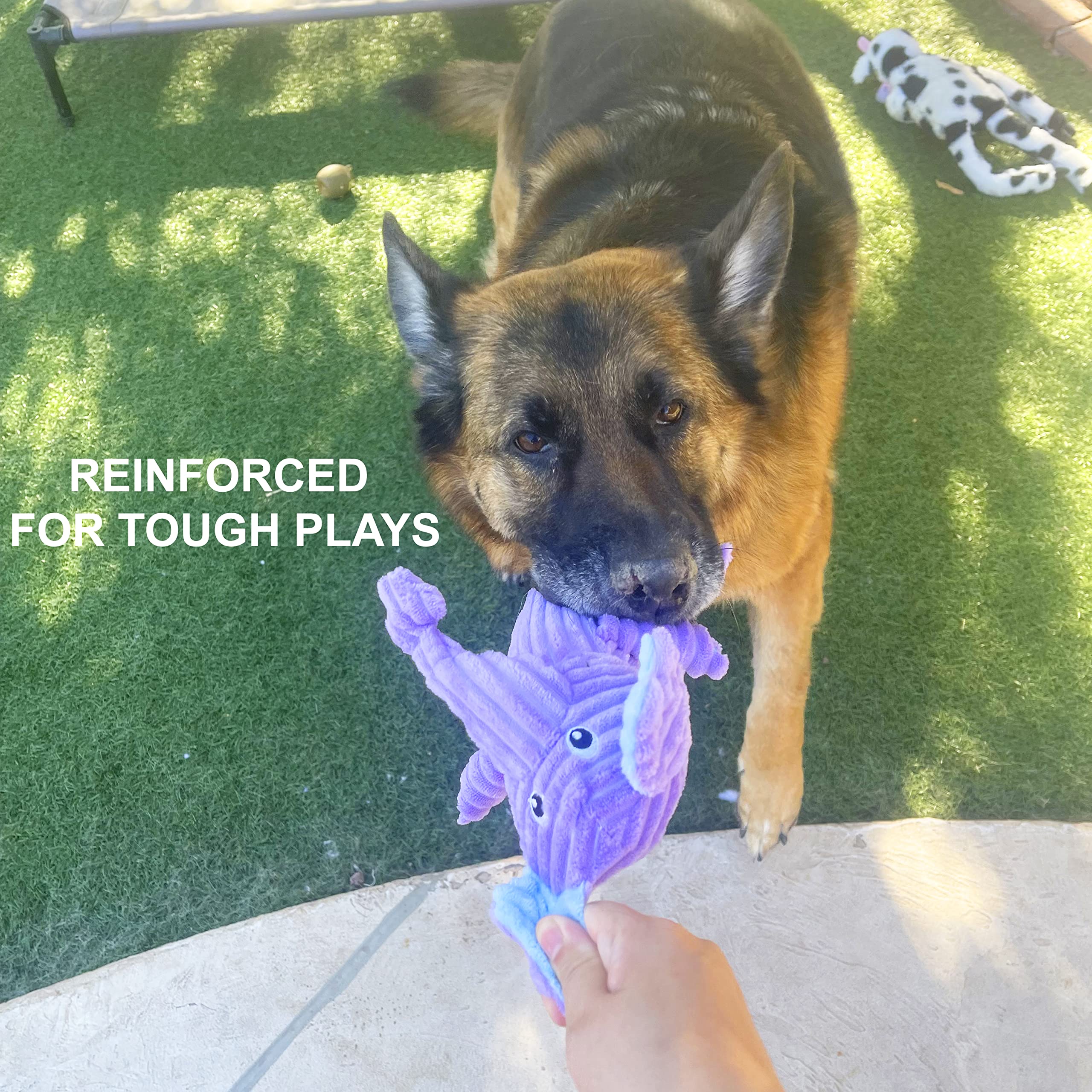 Jalousie tough construction dog toy resists strong chewers during fetch.