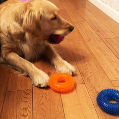 Jalousie waterproof fetch toy ideal for water games and outdoor use