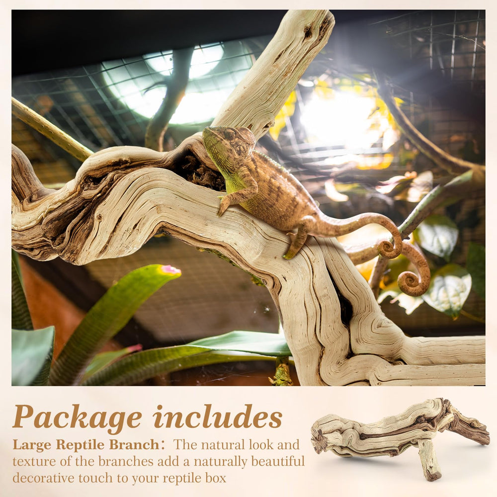Janinka branch close-up demonstrates safe, handpicked craftsmanship and grain detail.