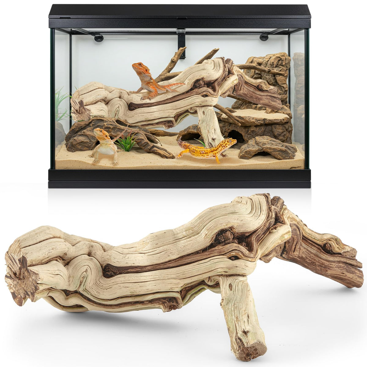 Janinka wood reptile branch side view, ideal climbing accessory for bearded dragons.