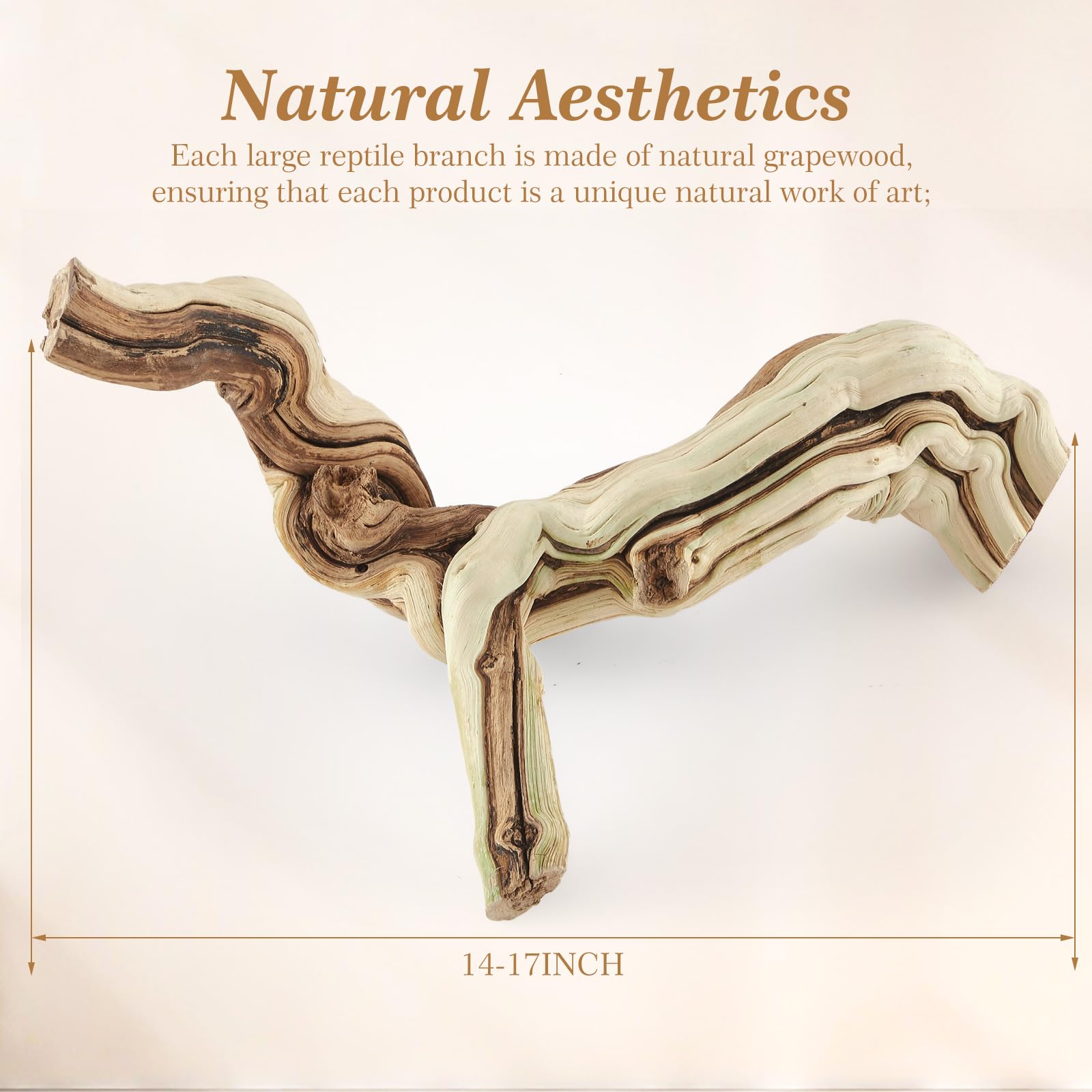 Janinka reptile branch top view showcases natural texture for terrarium decoration.