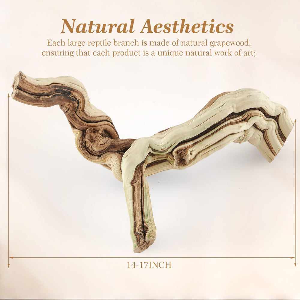Janinka reptile branch top view showcases natural texture for terrarium decoration.