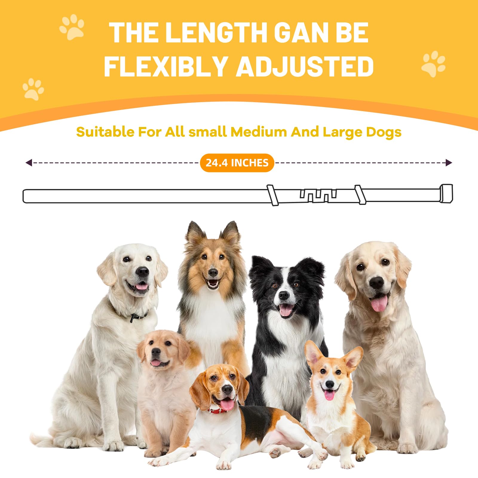 Jaoernv calming collar grey color on dog during car ride demonstrates reduced stress.
