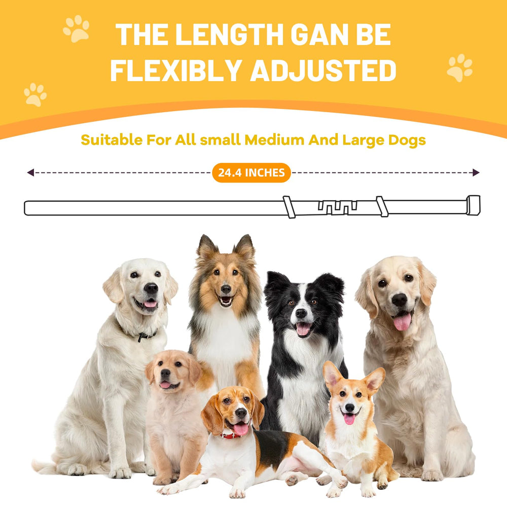Jaoernv calming collar grey color on dog during car ride demonstrates reduced stress.