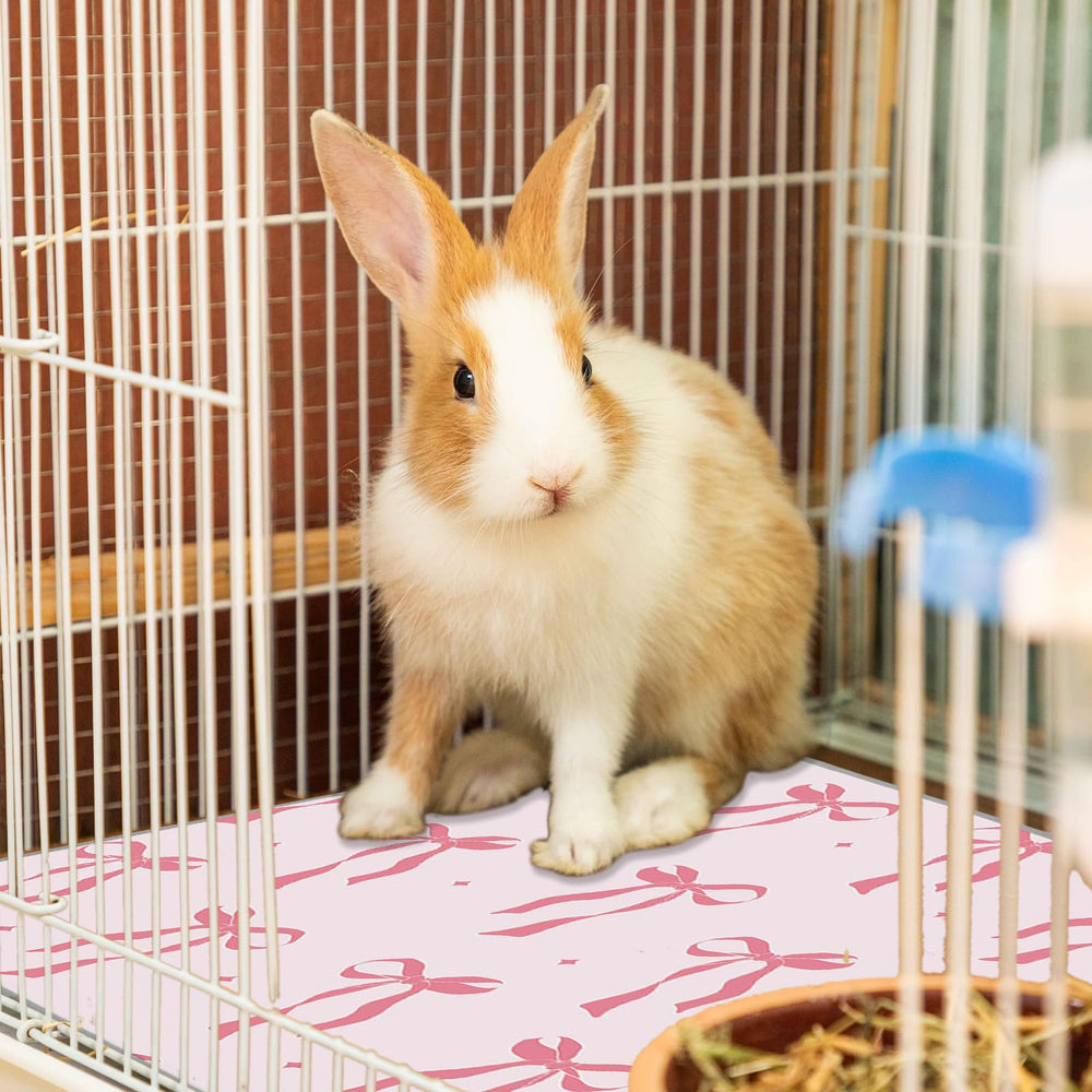 JarThenaAMCS multi-pet usage pad suitable for several small animals.