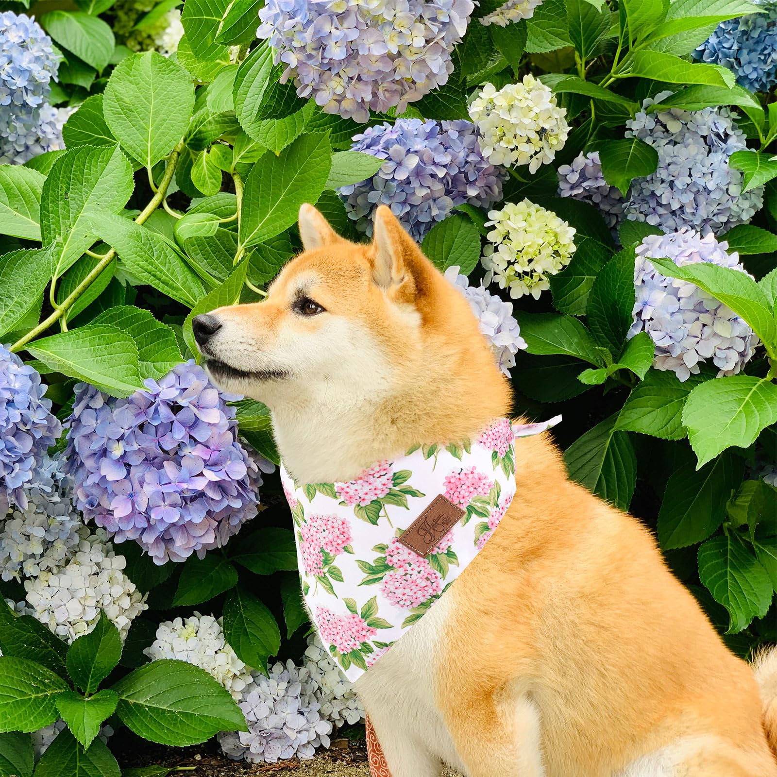 JarThenaAMCS wedding party dog bandana with floral plaid design