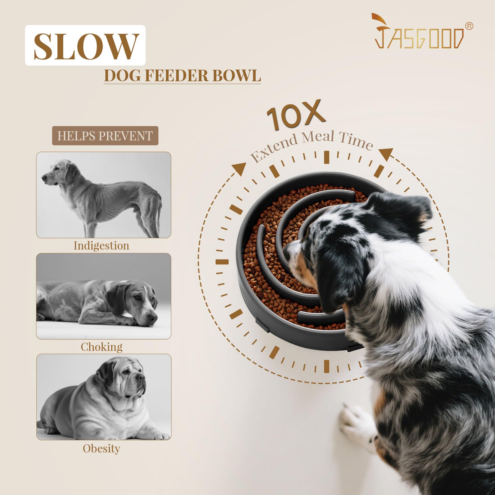 JASGOOD non-slip base keeps the bowl steady during meals.