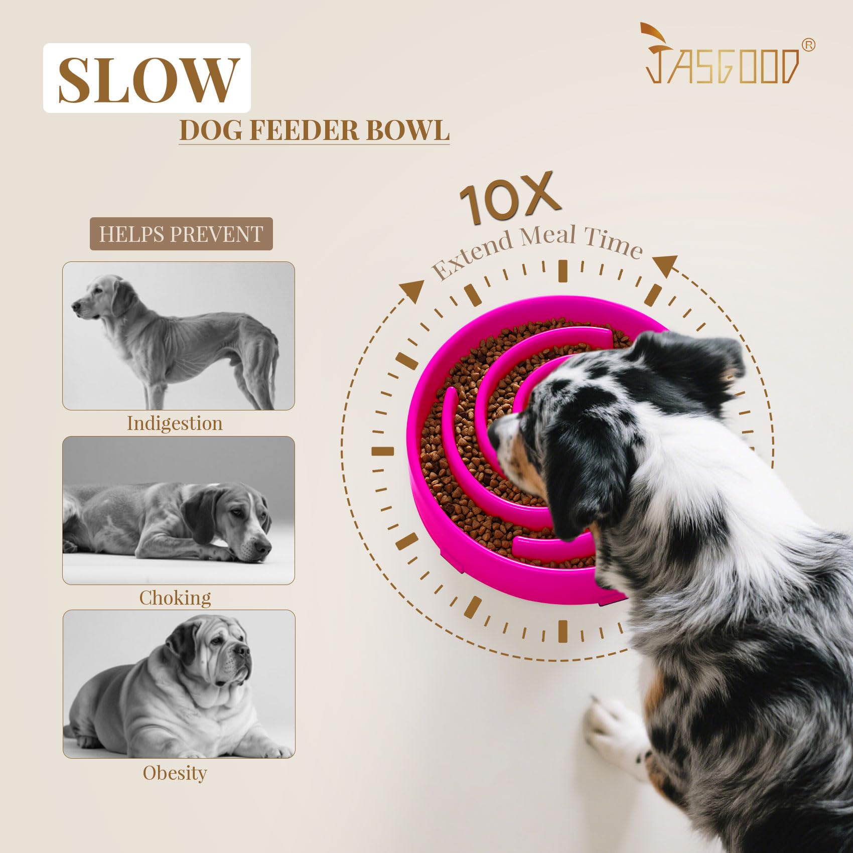 JASGOOD non-slip base keeps the bowl steady during feeding.