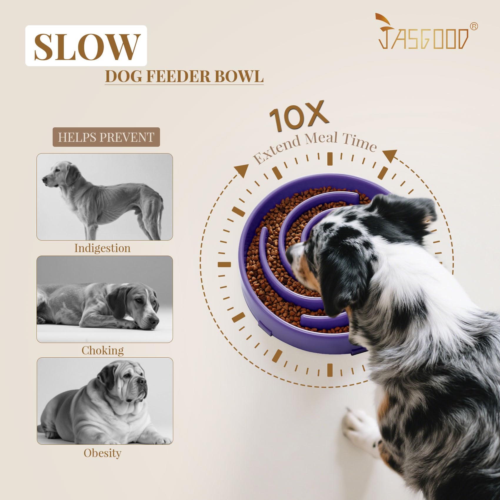 JASGOOD safe material PP bowl is BPA-free and pet-friendly