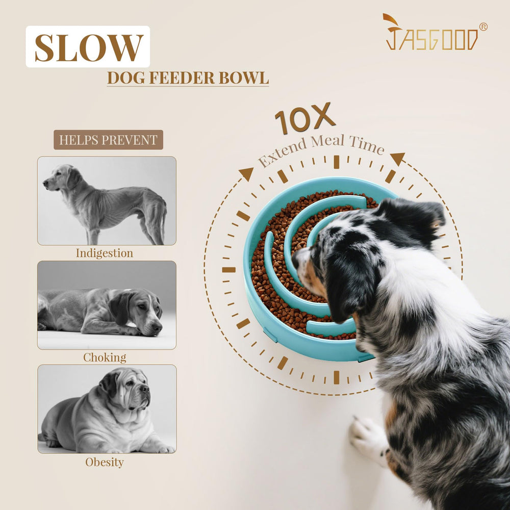 JASGOOD slow feeder bowl with dry and wet foods in use for slower meals