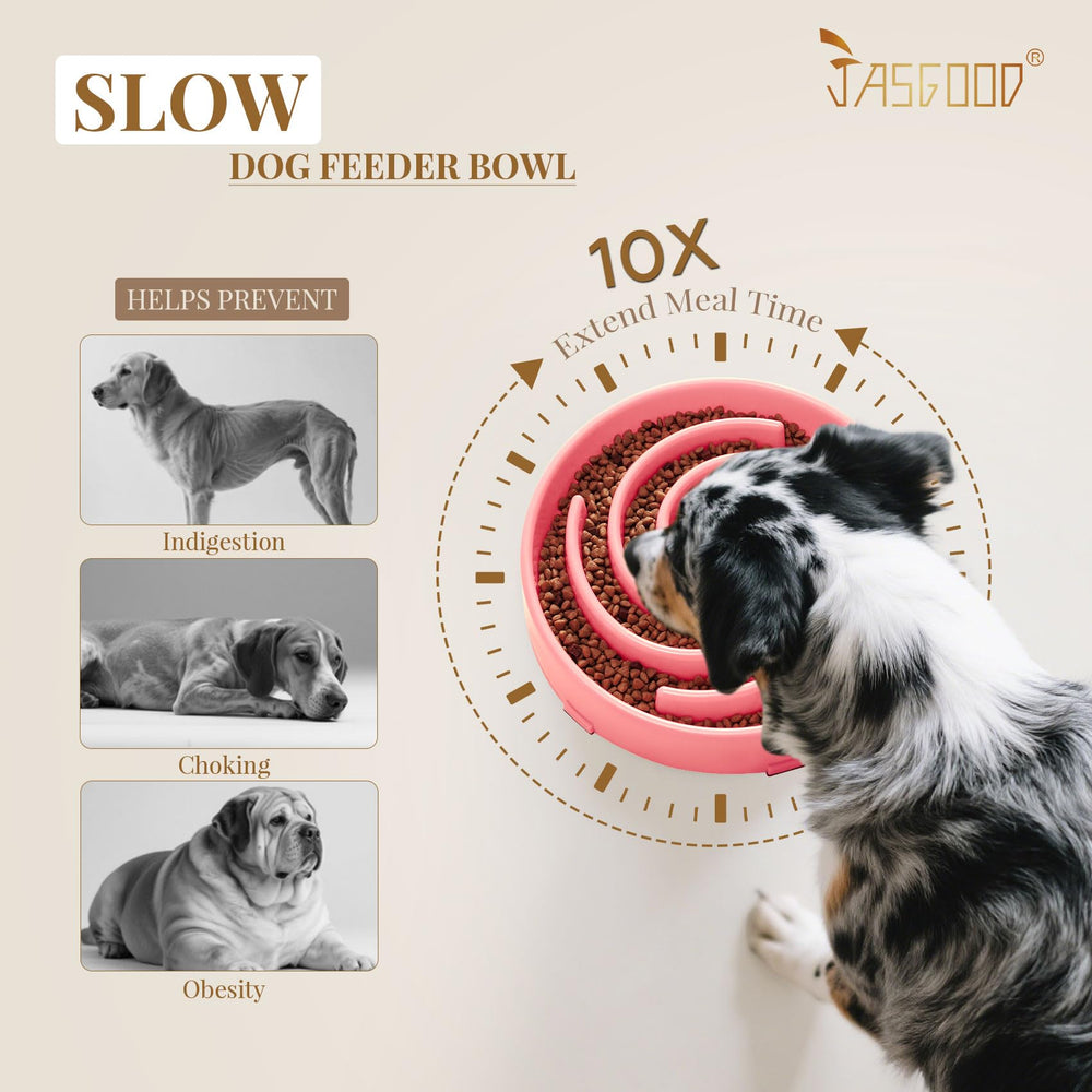 JASGOOD easy-clean bowl with smooth surface suitable for dry, wet, and raw meals