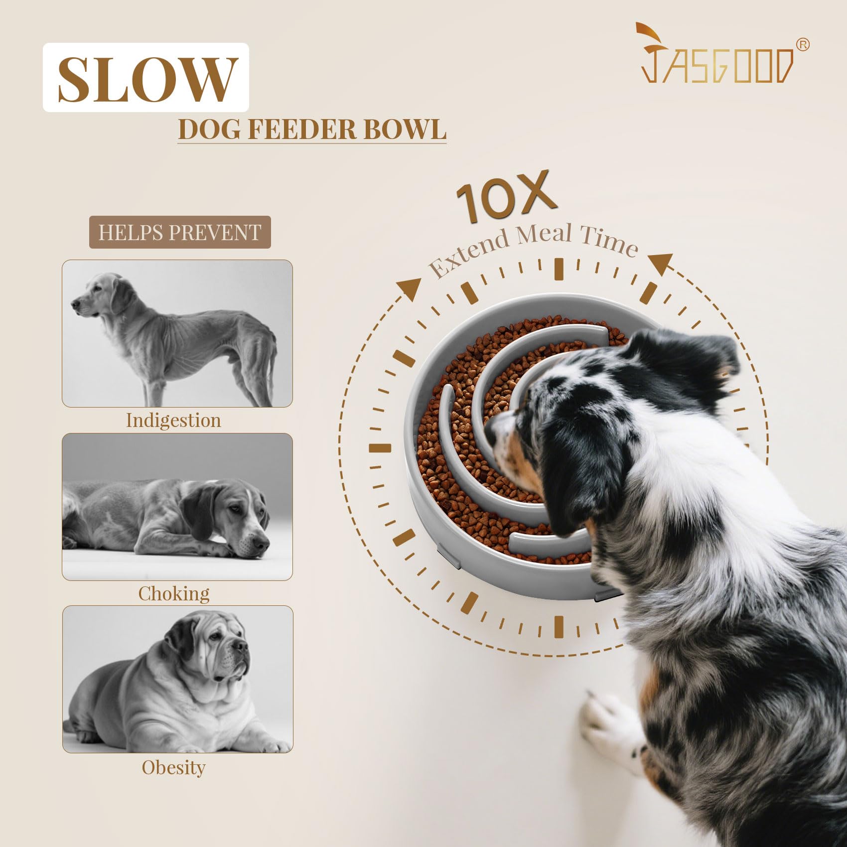 JASGOOD Slow Feeder bowl close-up highlights BPA-free PP material and safe construction.
