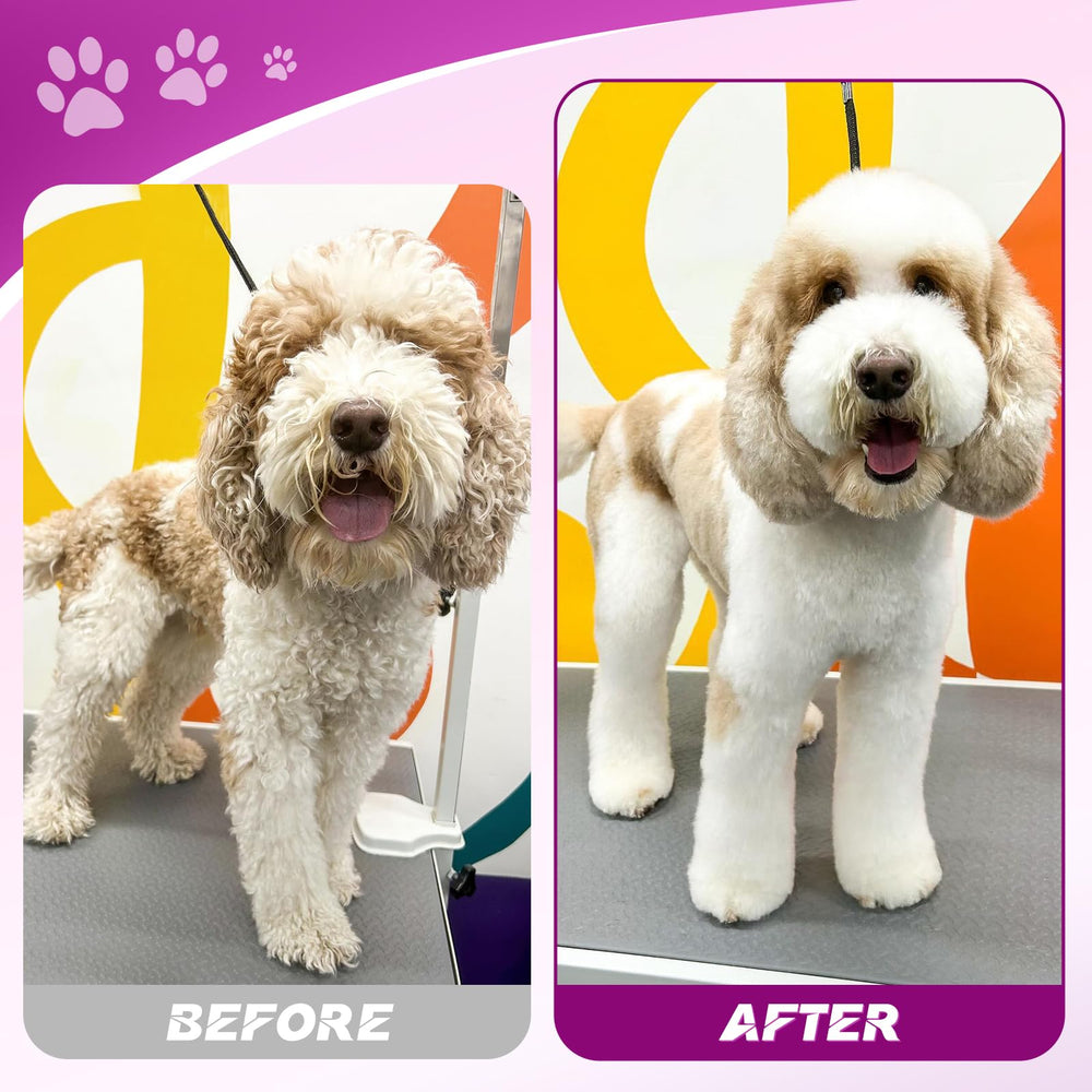 JASON 7-inch up-curved dog shear for feathered, even results.