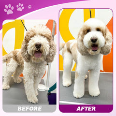 JASON 7-inch up-curved dog shear for feathered, even results.