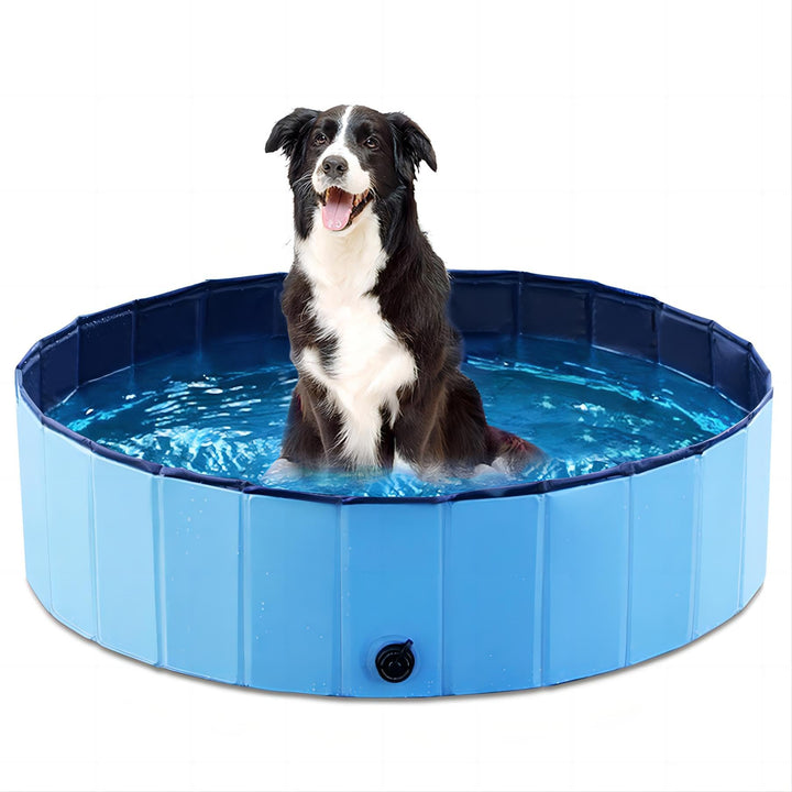 Jasonwell foldable dog pool in flat lay shows portable storage and quick setup.