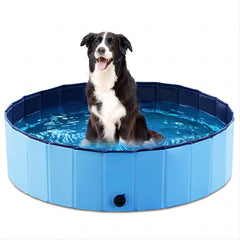 Jasonwell foldable dog pool in flat lay shows portable storage and quick setup.