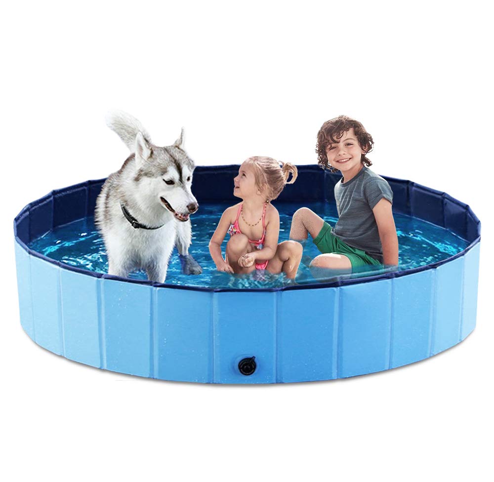 Jasonwell foldable dog pool front view showing stable setup and 63-inch width.