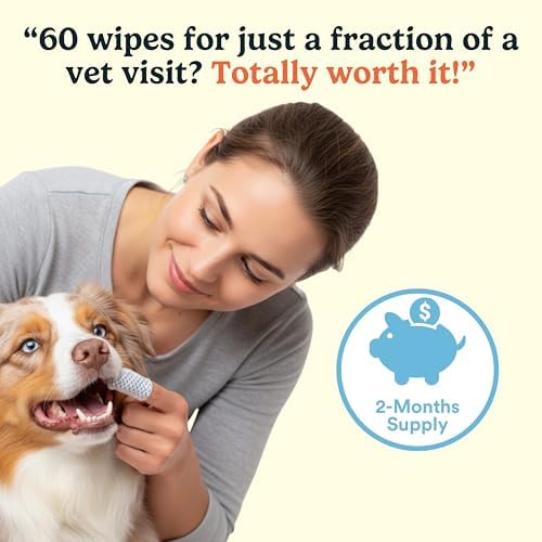 Jasper 60-count pack keeps dental care supplies ready.