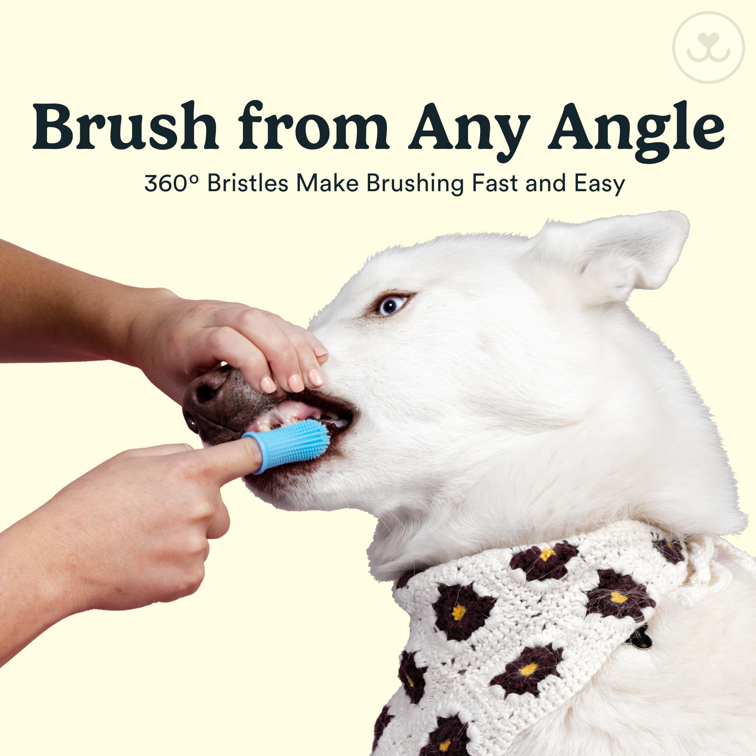 Jasper back-molars reach easily enables thorough cleaning of hard-to-reach areas.