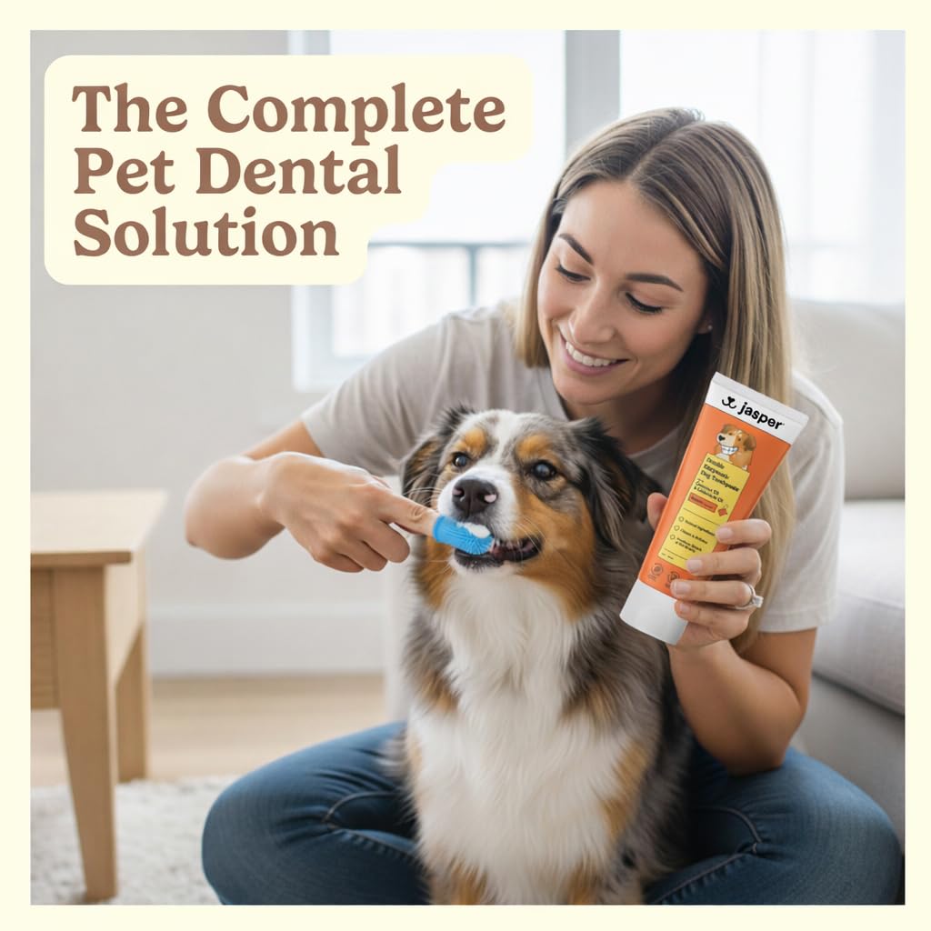 Jasper toothbrush and enzymatic toothpaste set ready for daily brushing and flavor appeal.