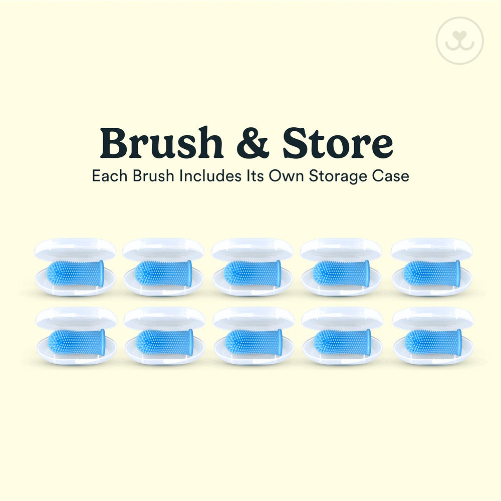 Jasper dog toothbrush dishwasher-safe kit for easy cleaning and longevity.