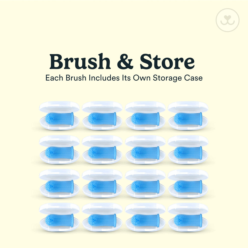 Jasper toothbrush works with enzymatic dog toothpaste for enhanced cleaning.