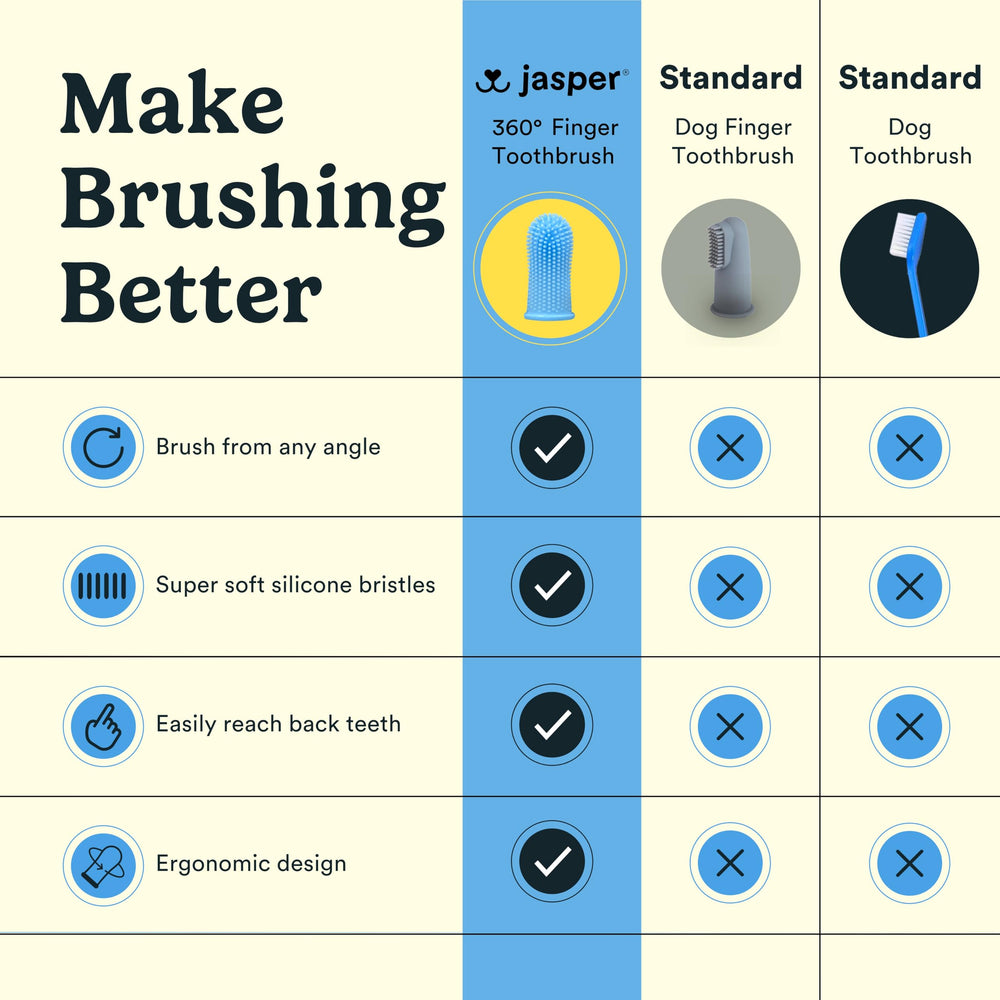 Jasper dental care kit supports enzymatic toothpaste for easier brushing