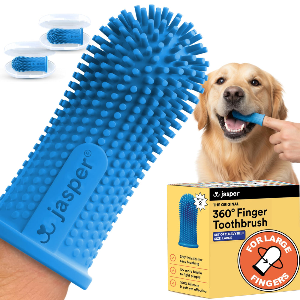 Jasper Large Dog Toothbrush — 360-degree clean for full-mouth care.