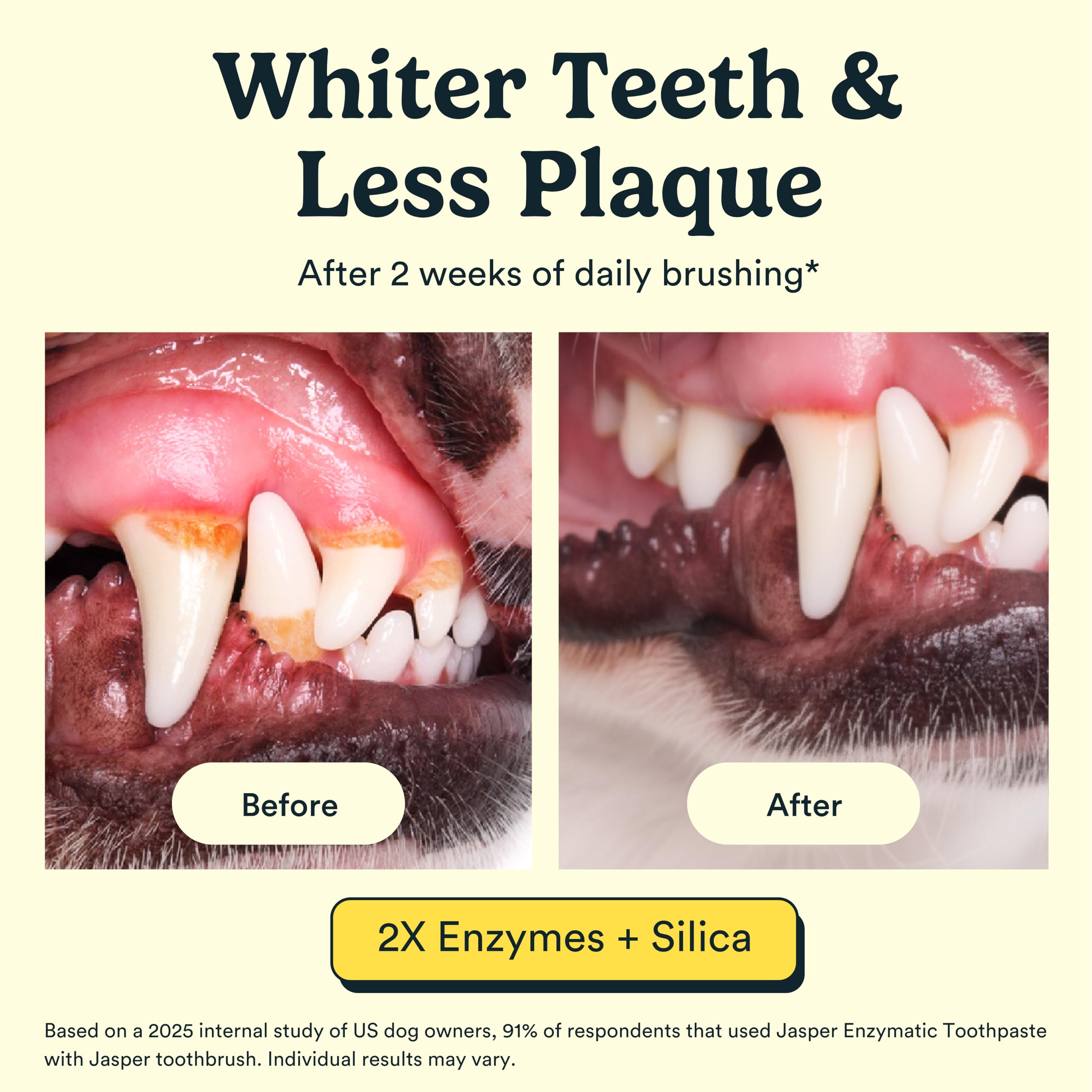Jasper natural coconut oil toothpaste paste texture emphasizing breath freshness and gentle care.
