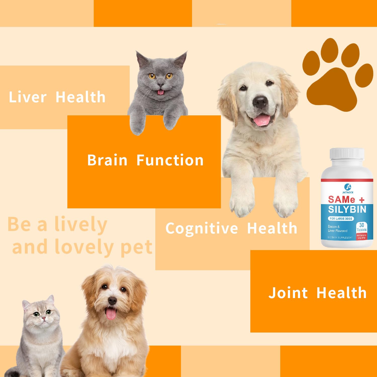 Jataoce Same Silybin brain health focus for dogs.