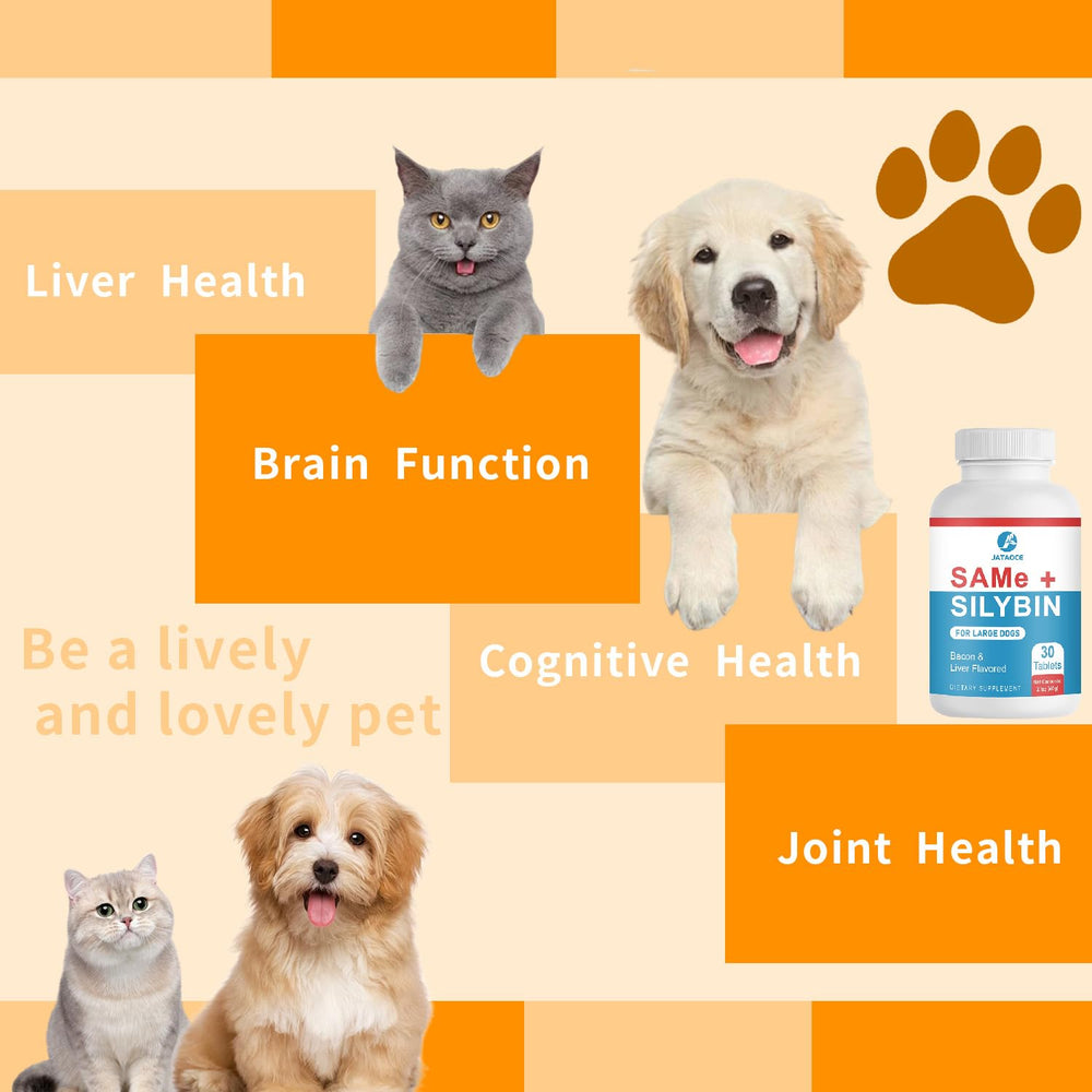 Jataoce Same Silybin brain health focus for dogs.
