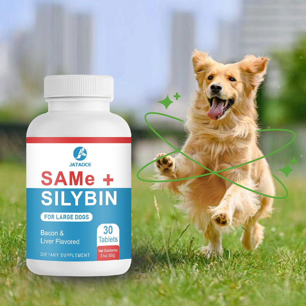 Jataoce Same Silybin liver support for dogs.