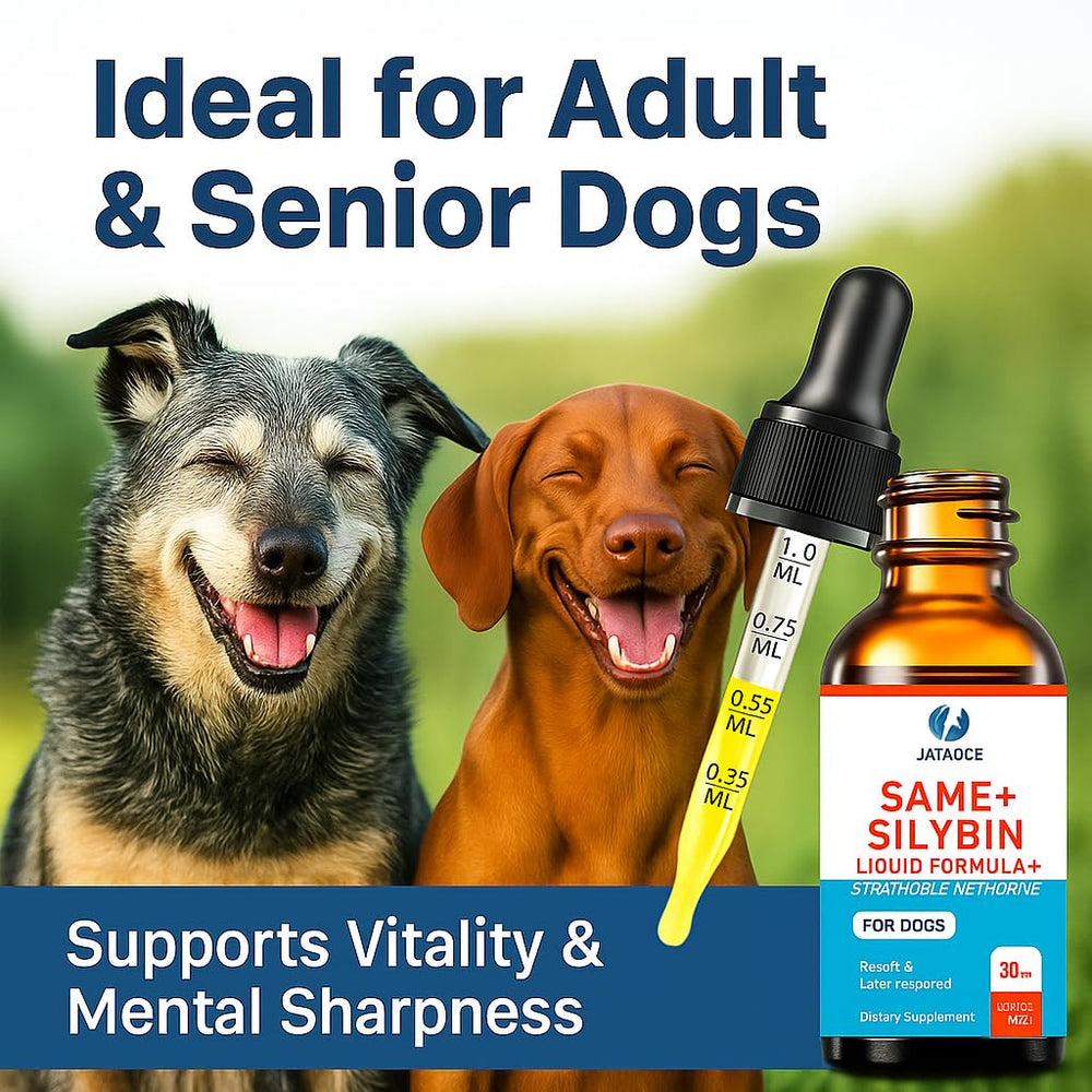Close-up of bacon-liver flavored liquid appealing to dogs during administration.