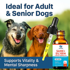 Close-up of bacon-liver flavored liquid appealing to dogs during administration.