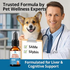 SAMEe drops added to dog food for seamless mixing in meals.