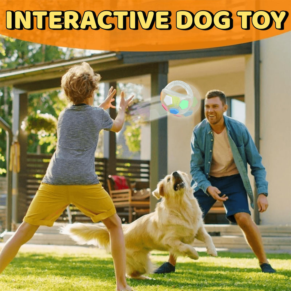 Jatmira ball toy for large dogs with durable rubber
